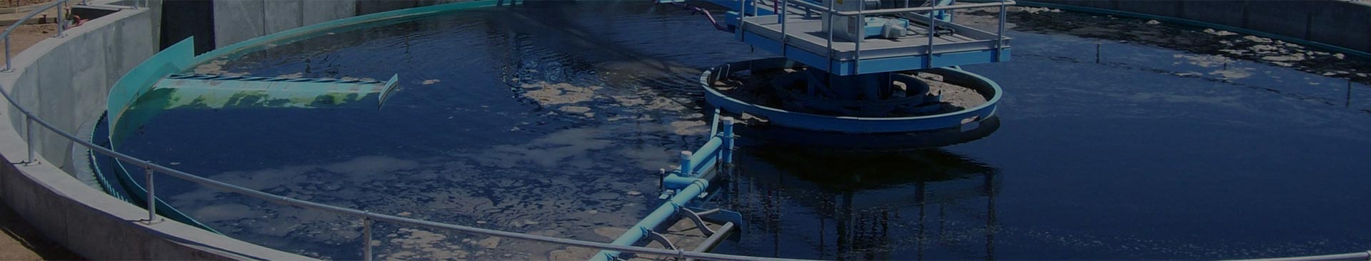 DM Series Solenoid Dosing Pump